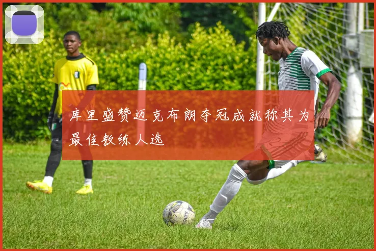 库里盛赞迈克布朗夺冠成就称其为最佳教练人选
